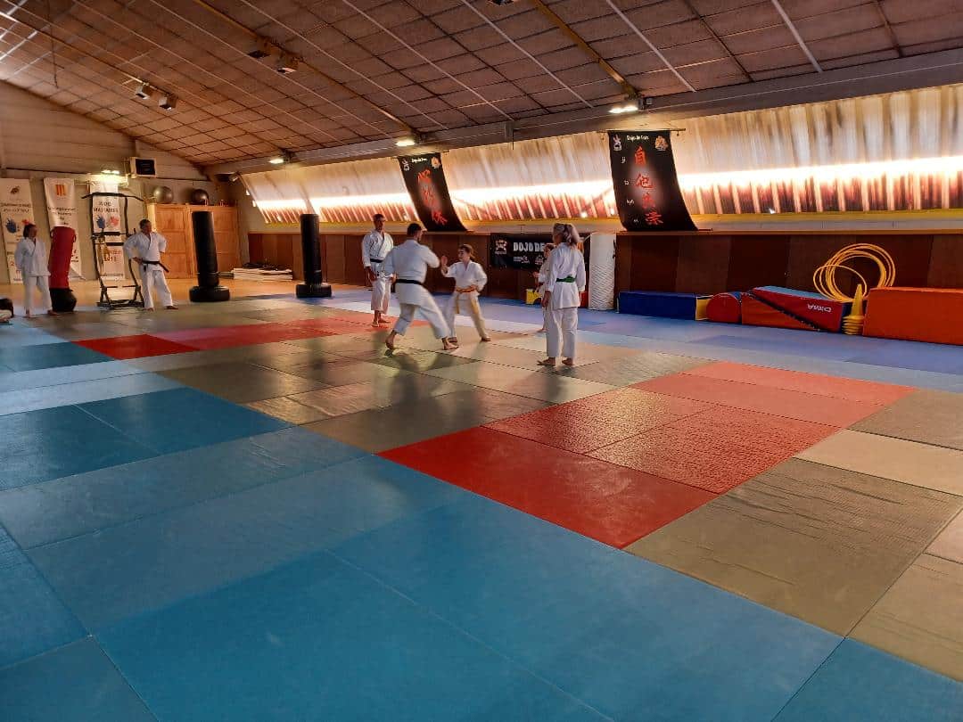 Photo stage 3 - Copie