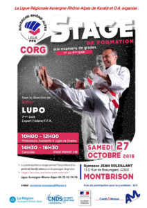 stage-formation-ligue-aura-lupo-26-10-2018