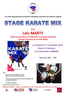 affiche stage karate mix A3_02