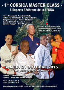 affiche stage experts 25.1015
