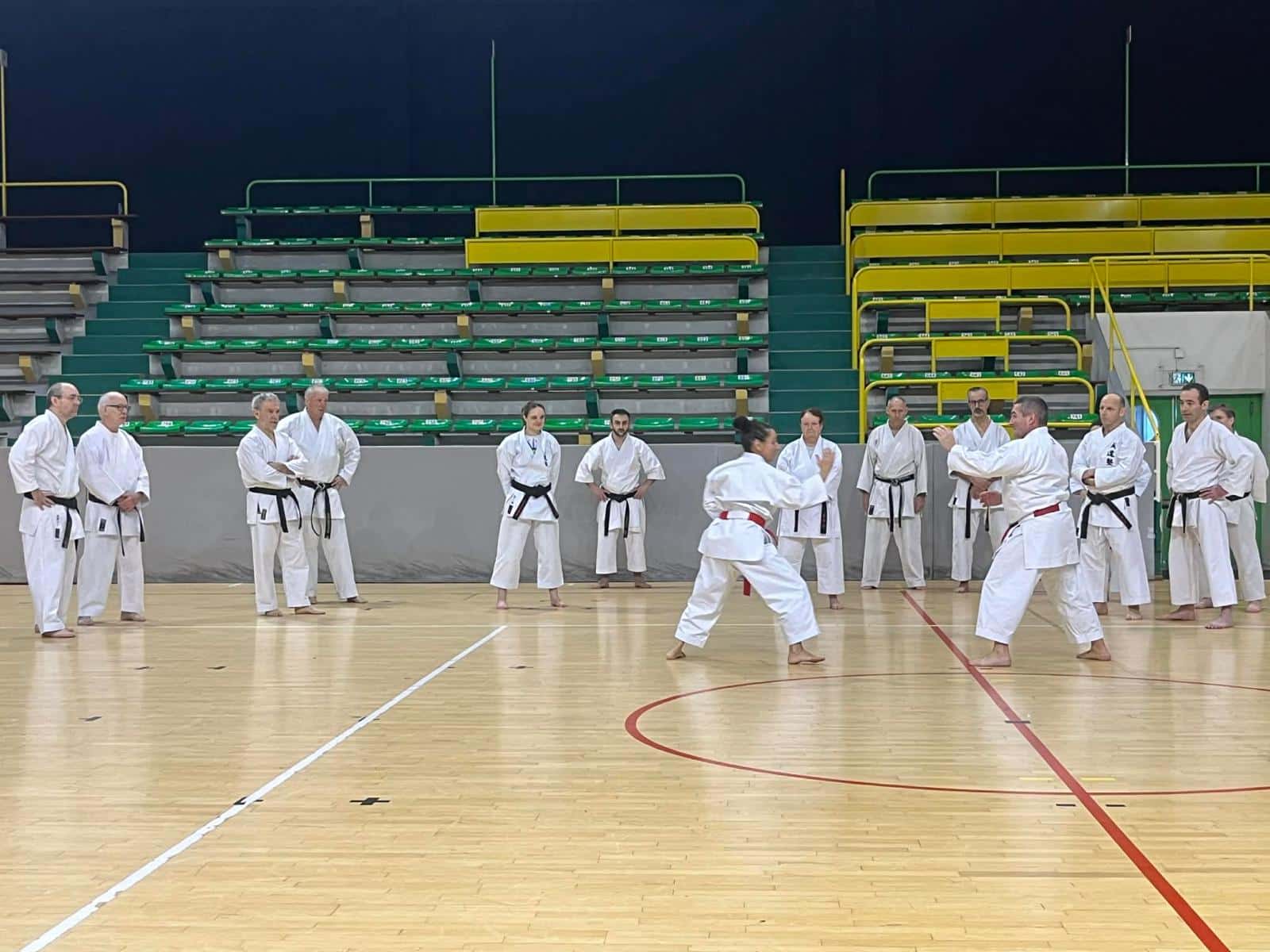 WhatsApp Image 2026-02-01 at 19.28.08 (3)