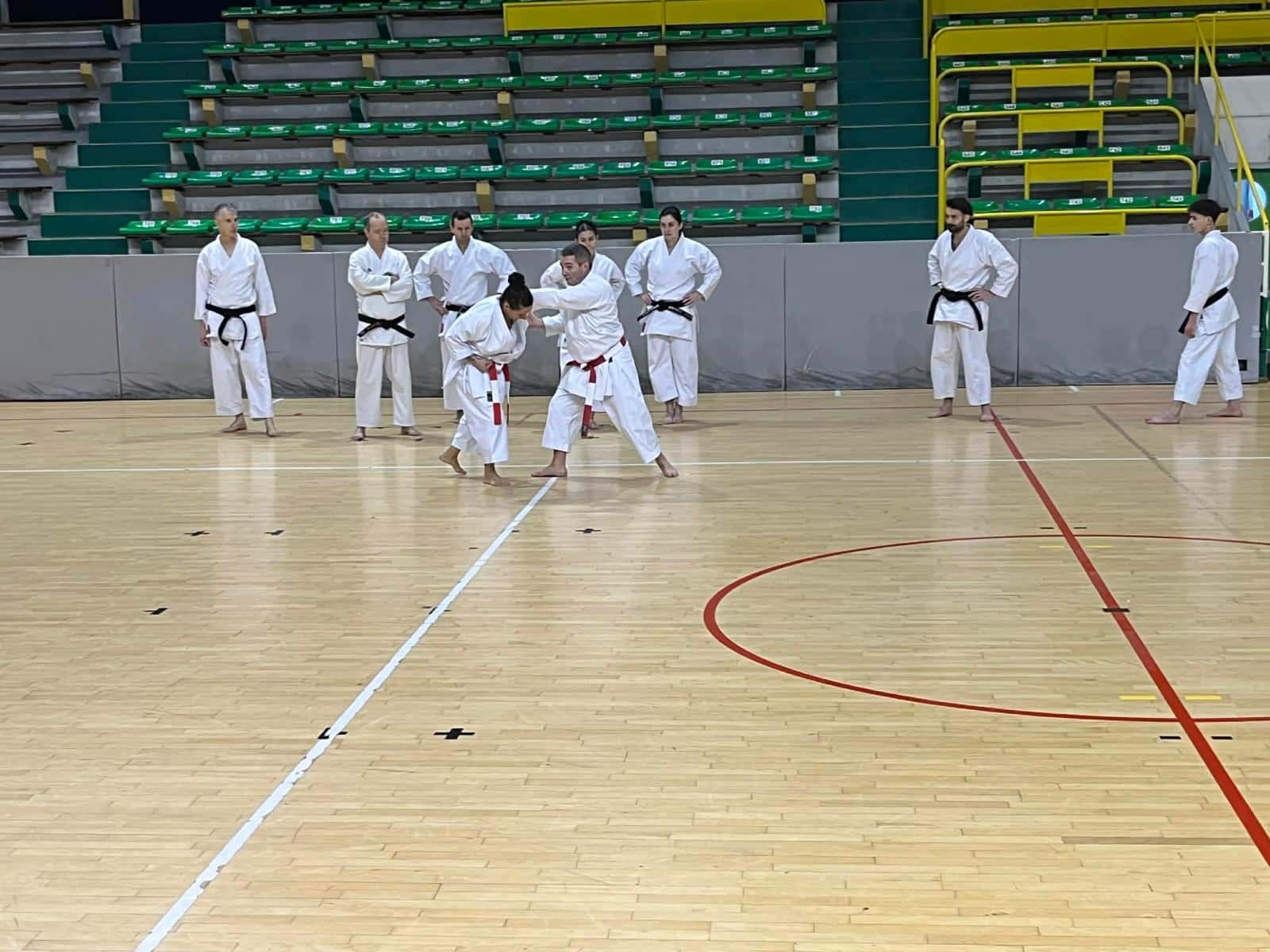 WhatsApp Image 2026-02-01 at 19.28.08 (8)