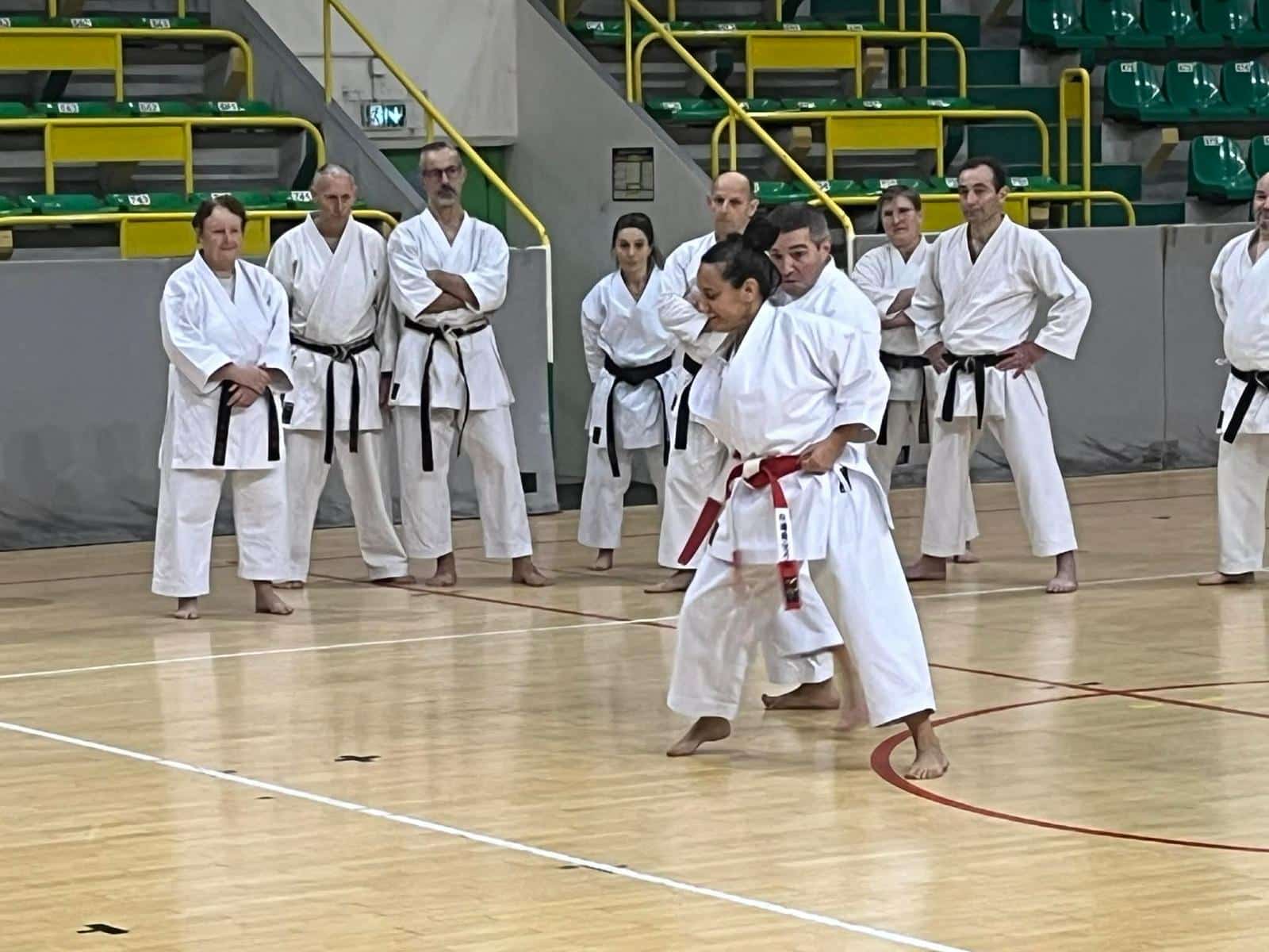 WhatsApp Image 2026-02-01 at 19.28.08