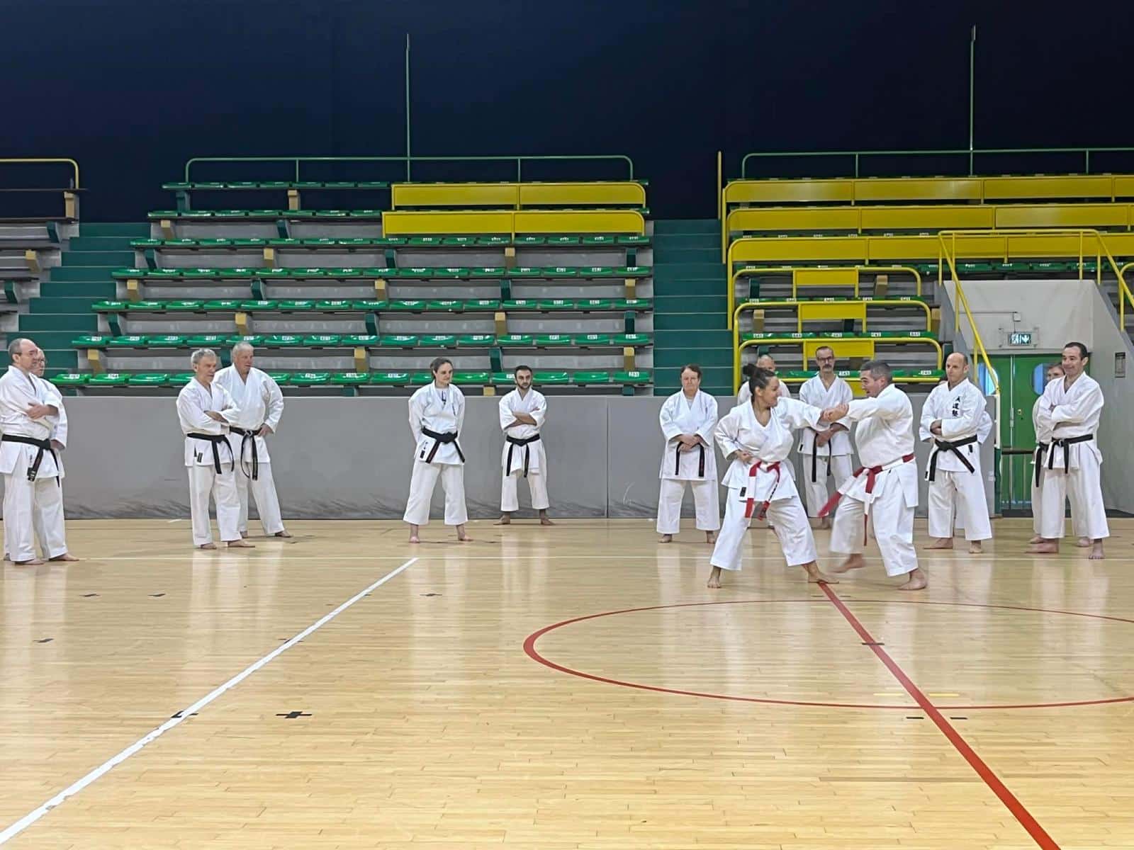 WhatsApp Image 2026-02-01 at 19.28.09 (10)