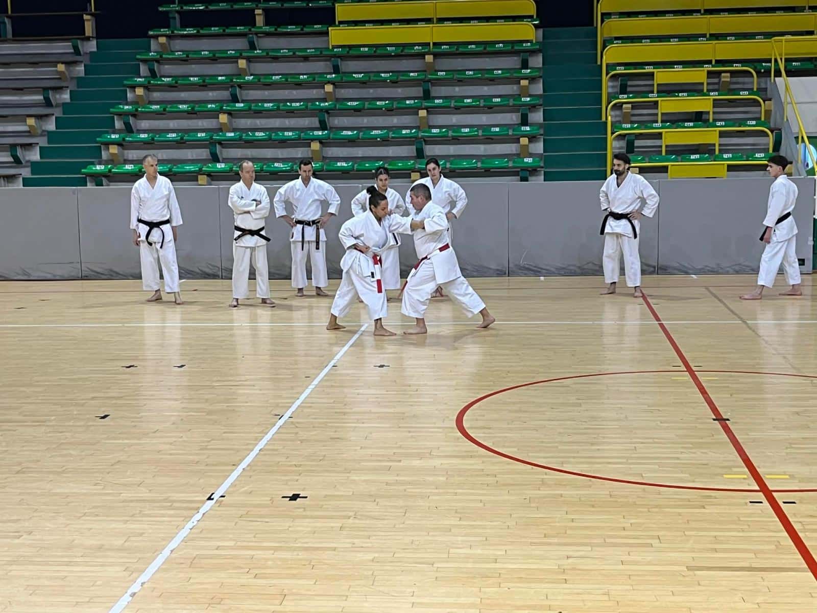 WhatsApp Image 2026-02-01 at 19.28.09 (13)