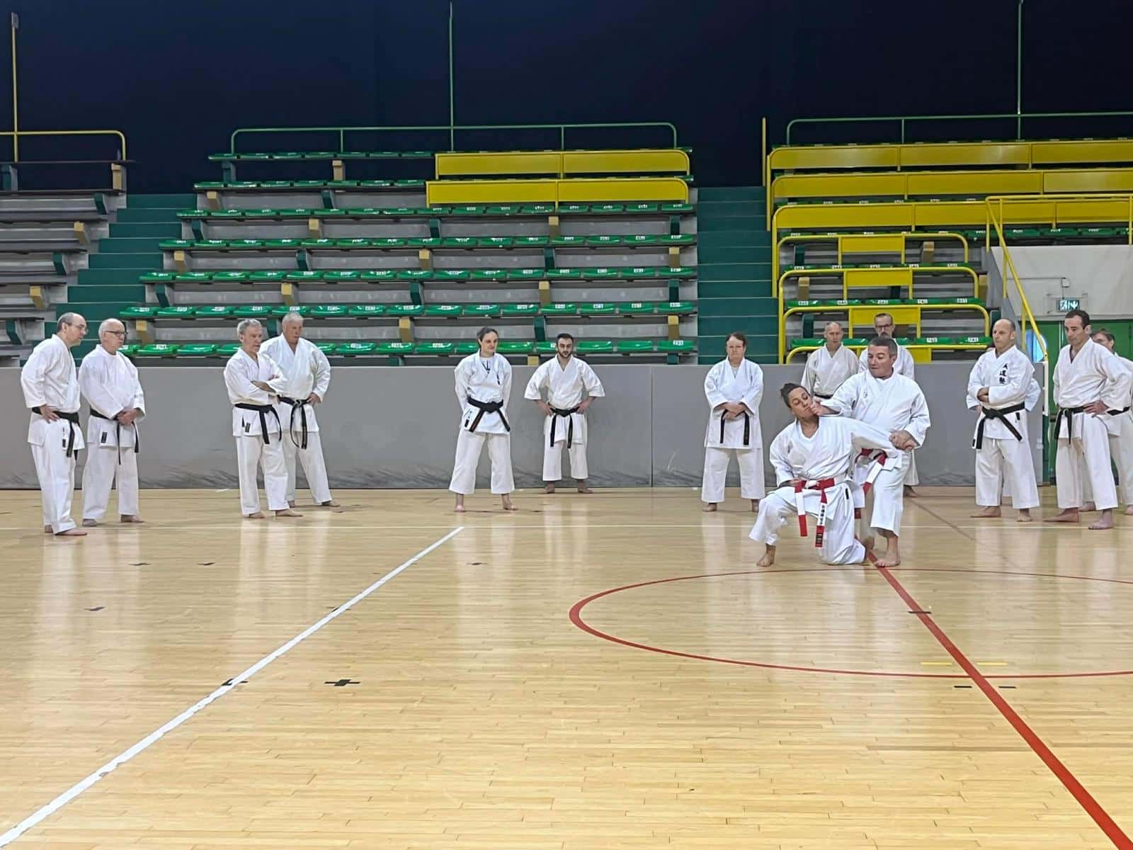 WhatsApp Image 2026-02-01 at 19.28.09 (15)