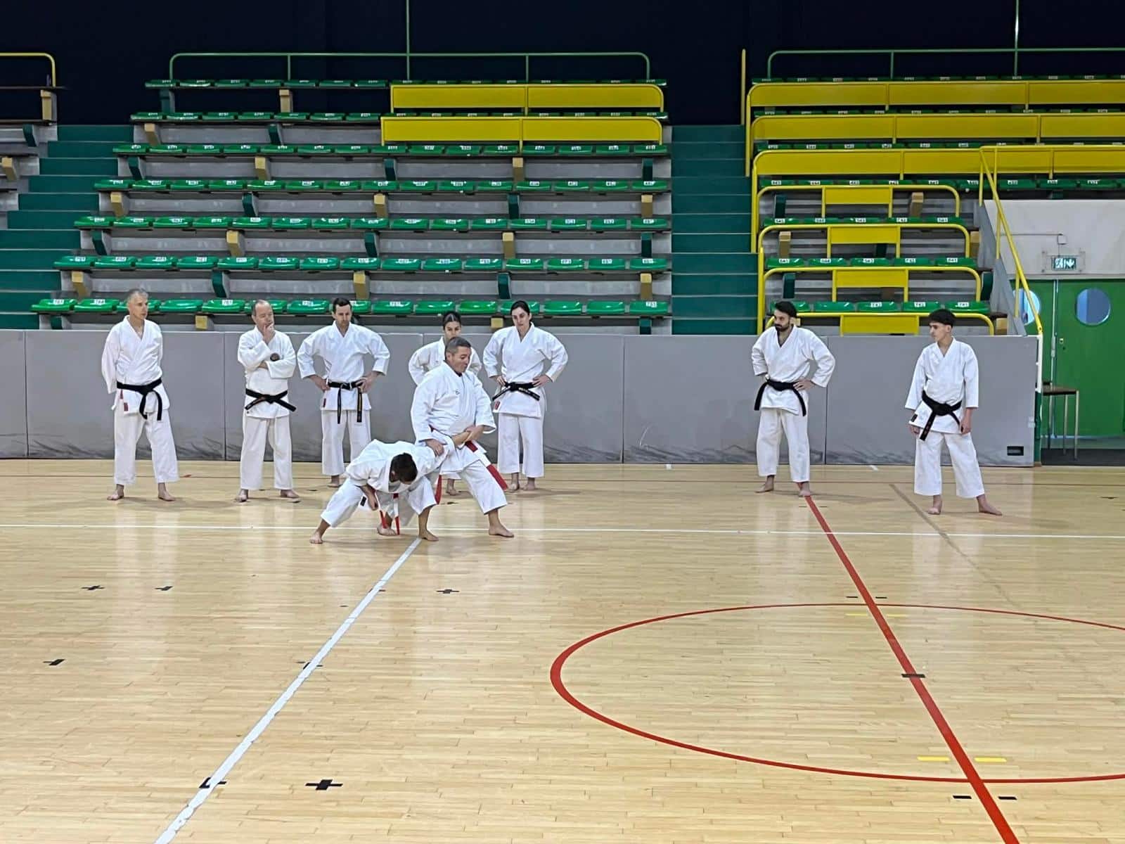 WhatsApp Image 2026-02-01 at 19.28.09 (17)