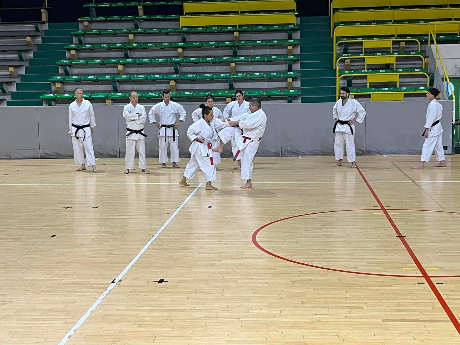 WhatsApp Image 2026-02-01 at 19.28.09 (18)