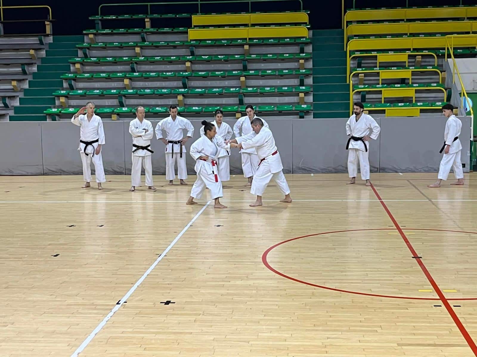 WhatsApp Image 2026-02-01 at 19.28.09 (20)