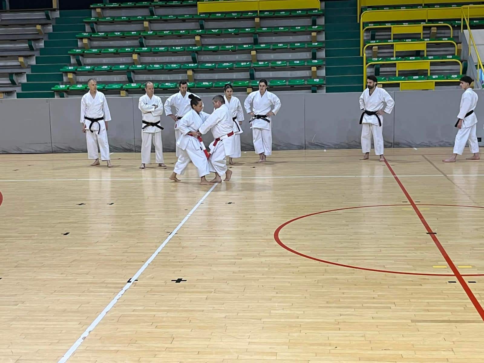 WhatsApp Image 2026-02-01 at 19.28.09 (27)