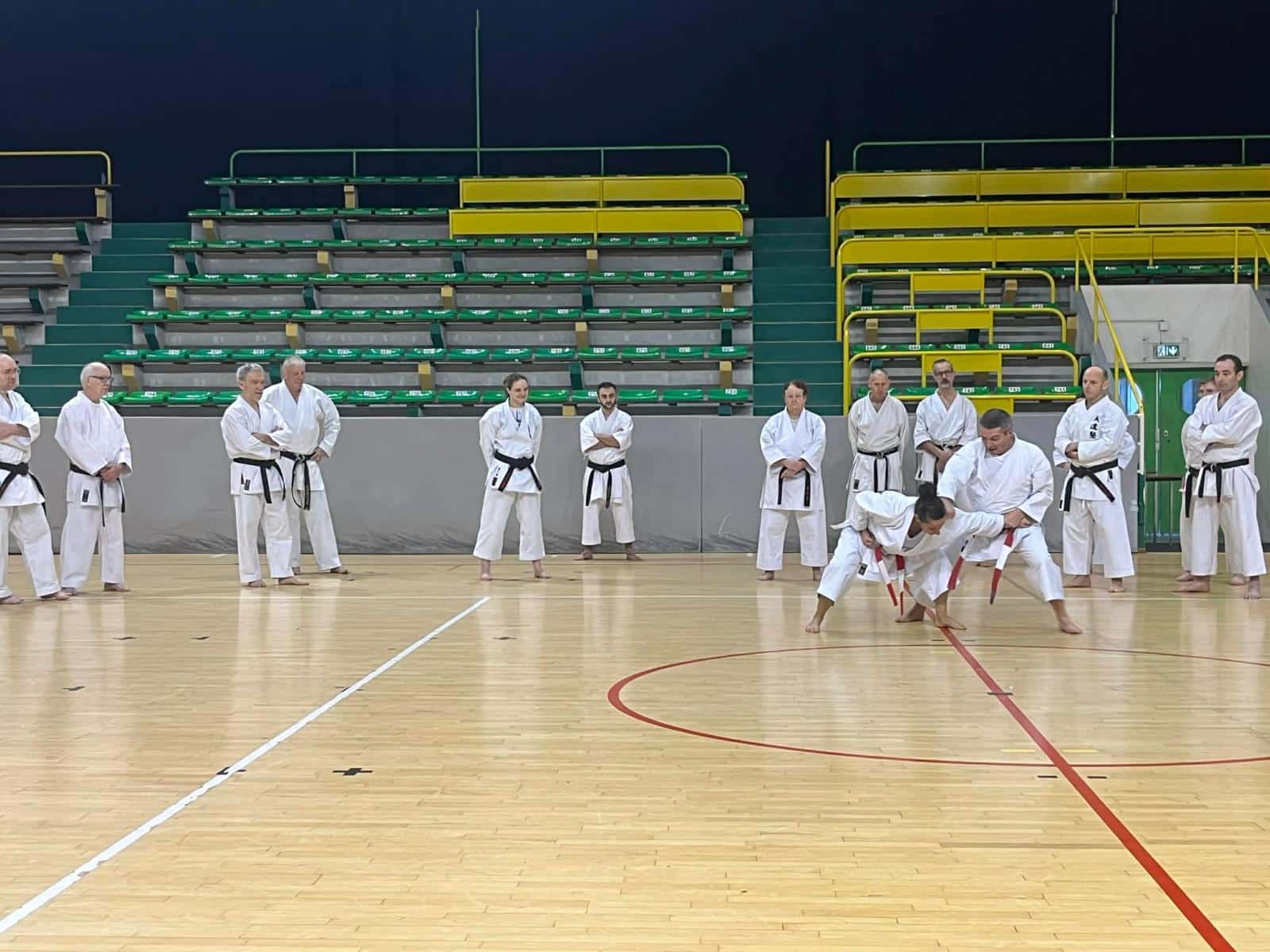 WhatsApp Image 2026-02-01 at 19.28.09 (7)