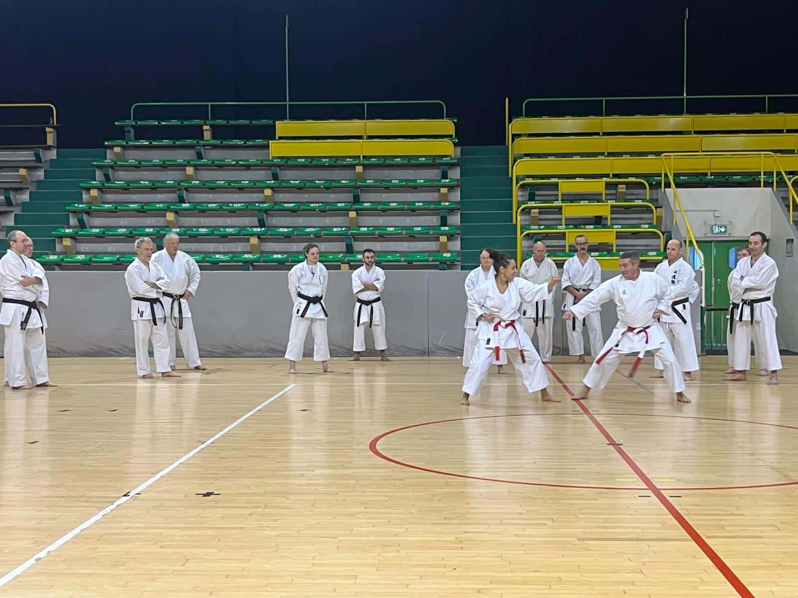 WhatsApp Image 2026-02-01 at 19.28.09 (8)