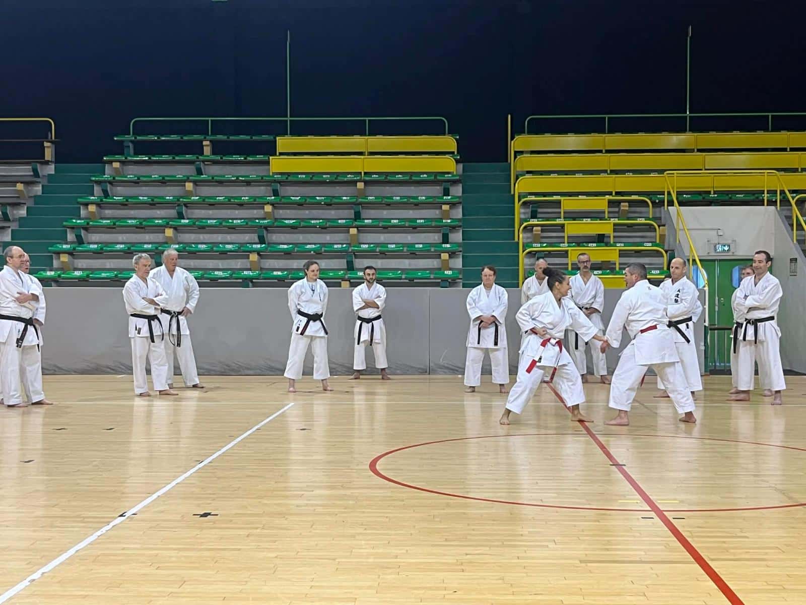 WhatsApp Image 2026-02-01 at 19.28.09 (9)