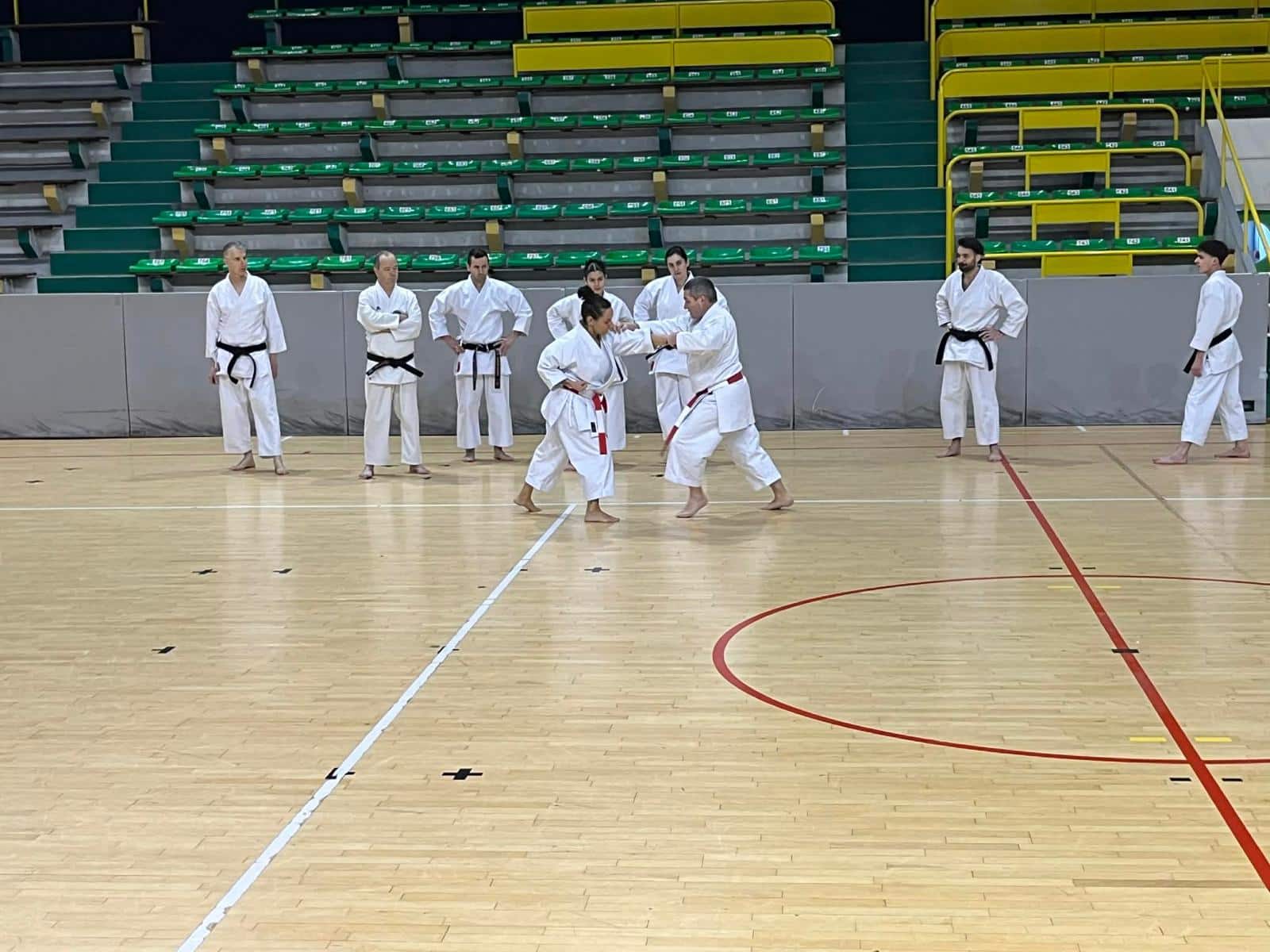 WhatsApp Image 2026-02-01 at 19.28.09