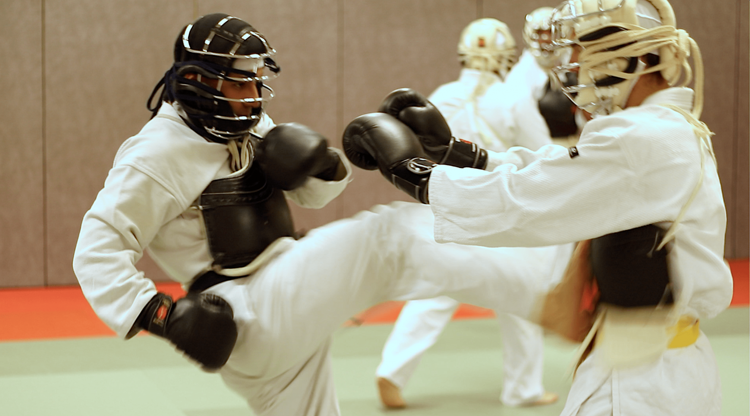 NIPPON KEMPO AVEC Mesut AYSEL Comité Départemental de Meurtheet