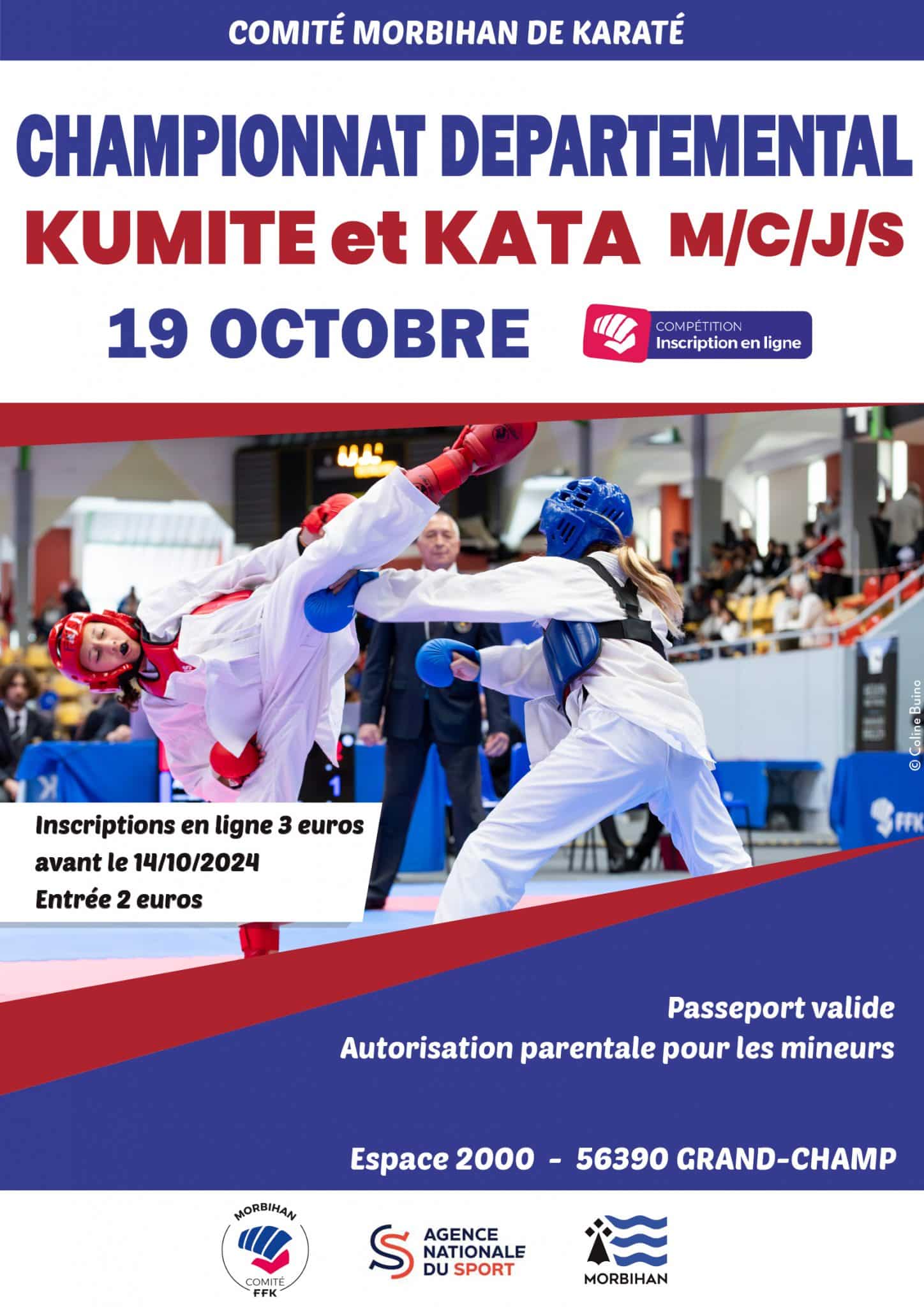 CHAMPIONNATS DU MORBIHAN M/C/J/S KATA ET KUMITE Comité Départemental