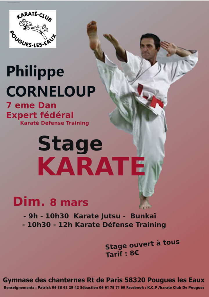 Stage Philippe Corneloup 8 mars 2020 2