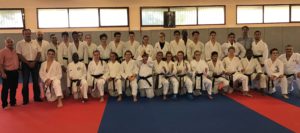 karate bis