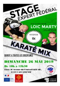 2019-05-26-Affiche Stage Karaté MIX
