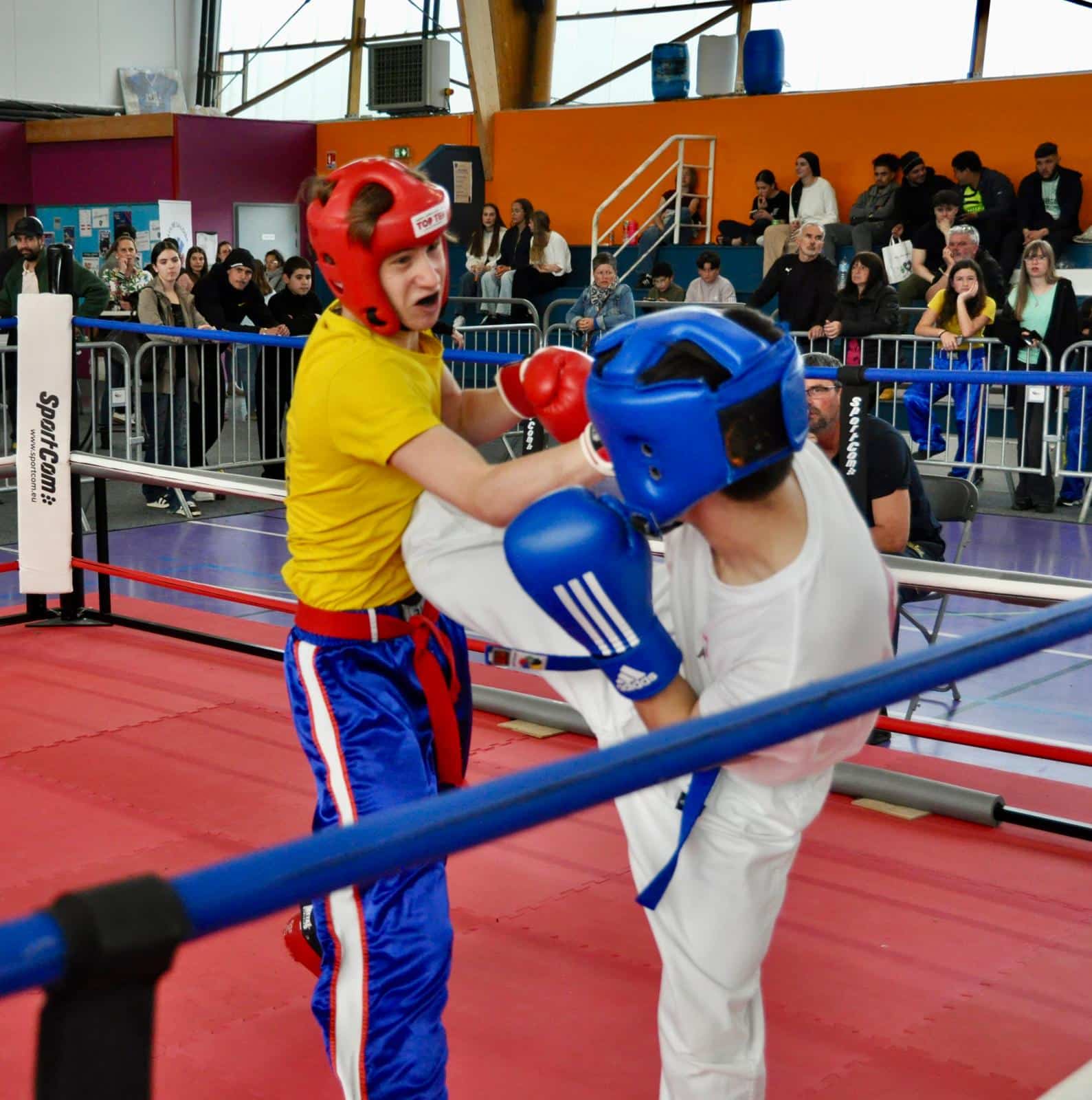 WhatsApp Image 2026-04-15 at 20.00.11 (3)