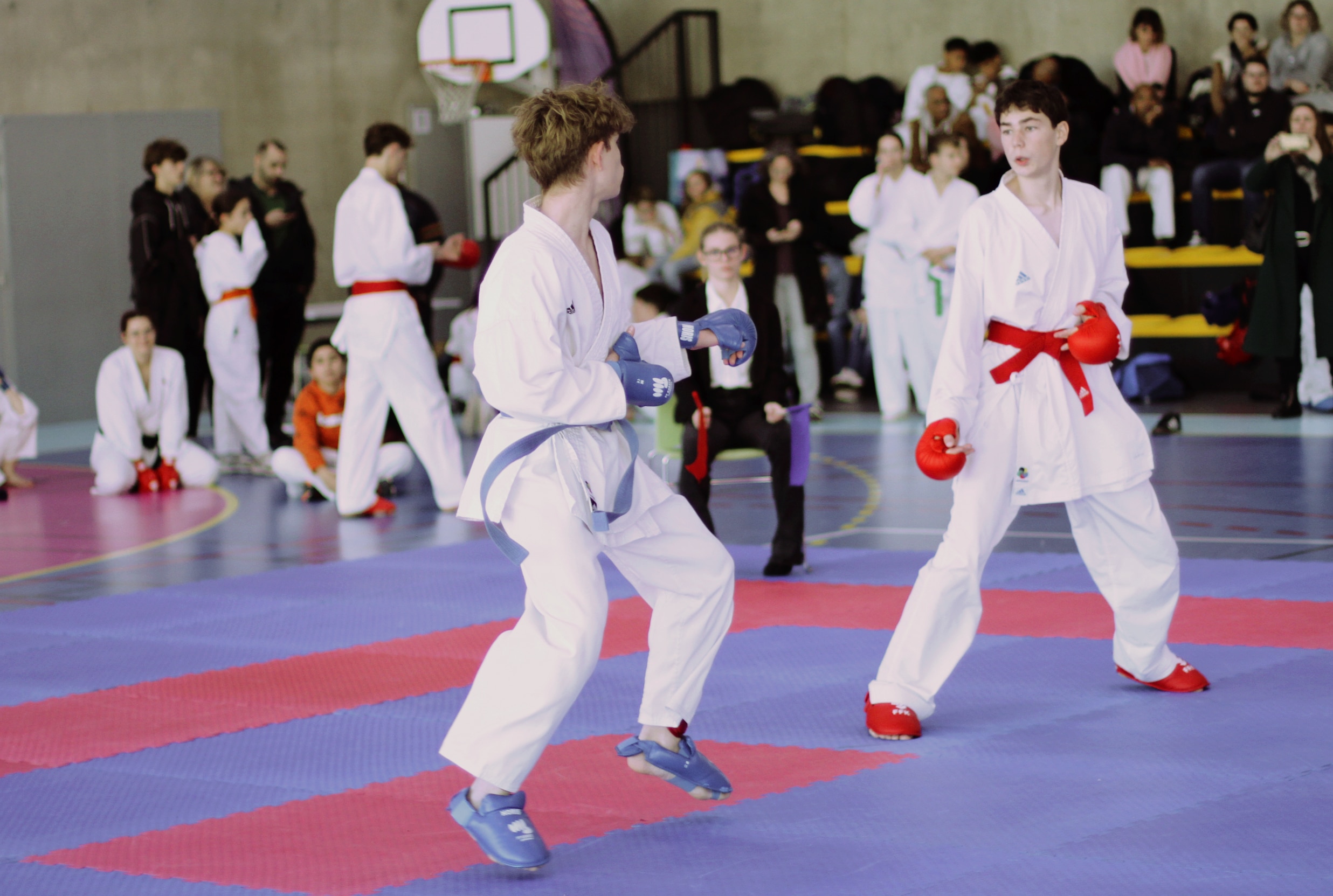 ab kumité 31 11 2025