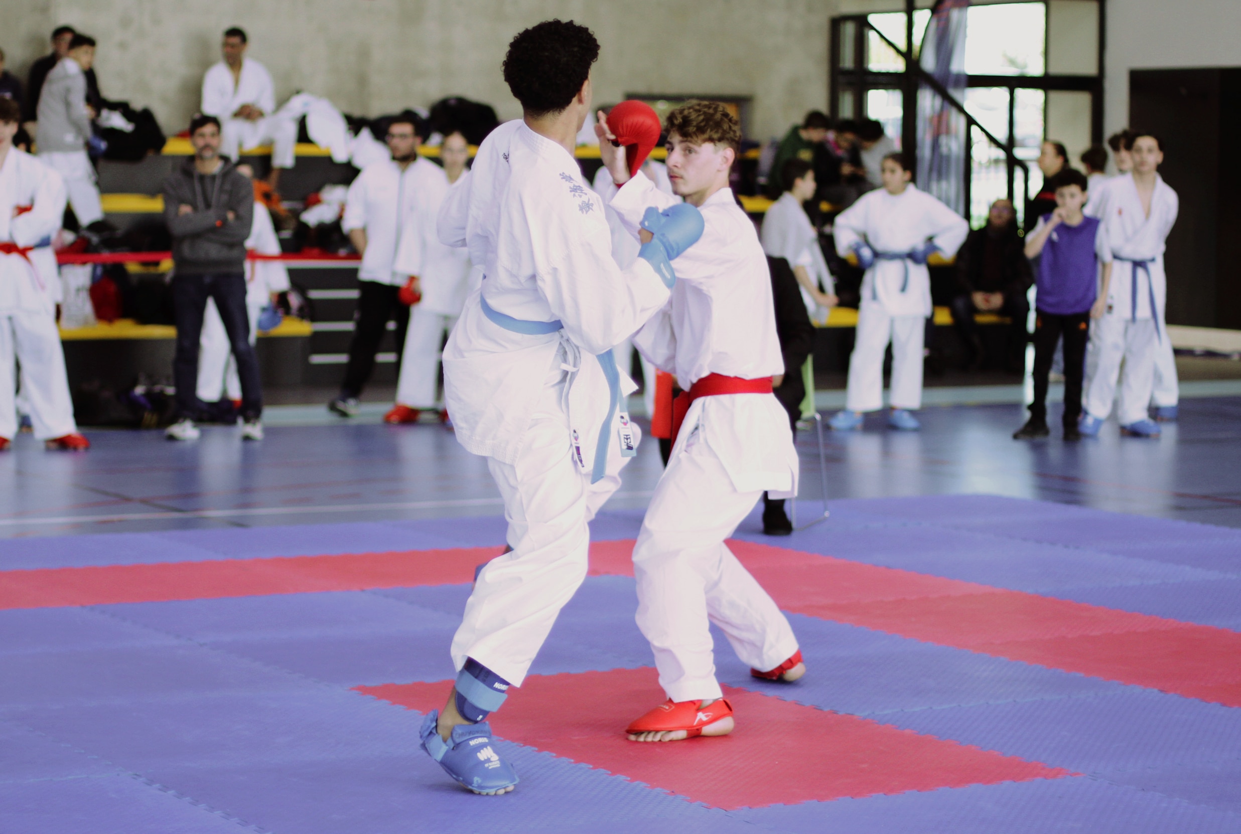 ab kumité 31 11 2025