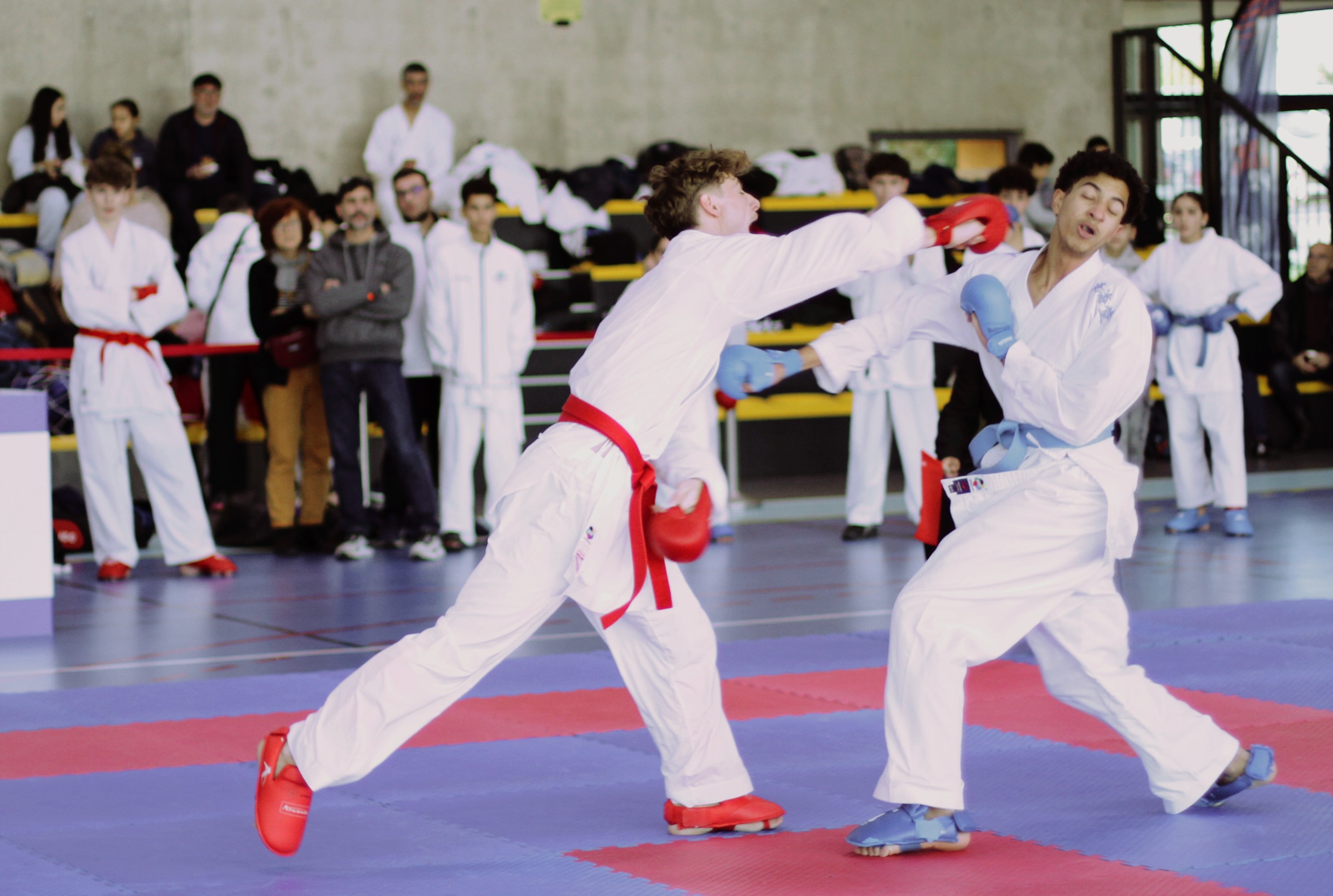 ab kumité 31 11 2025