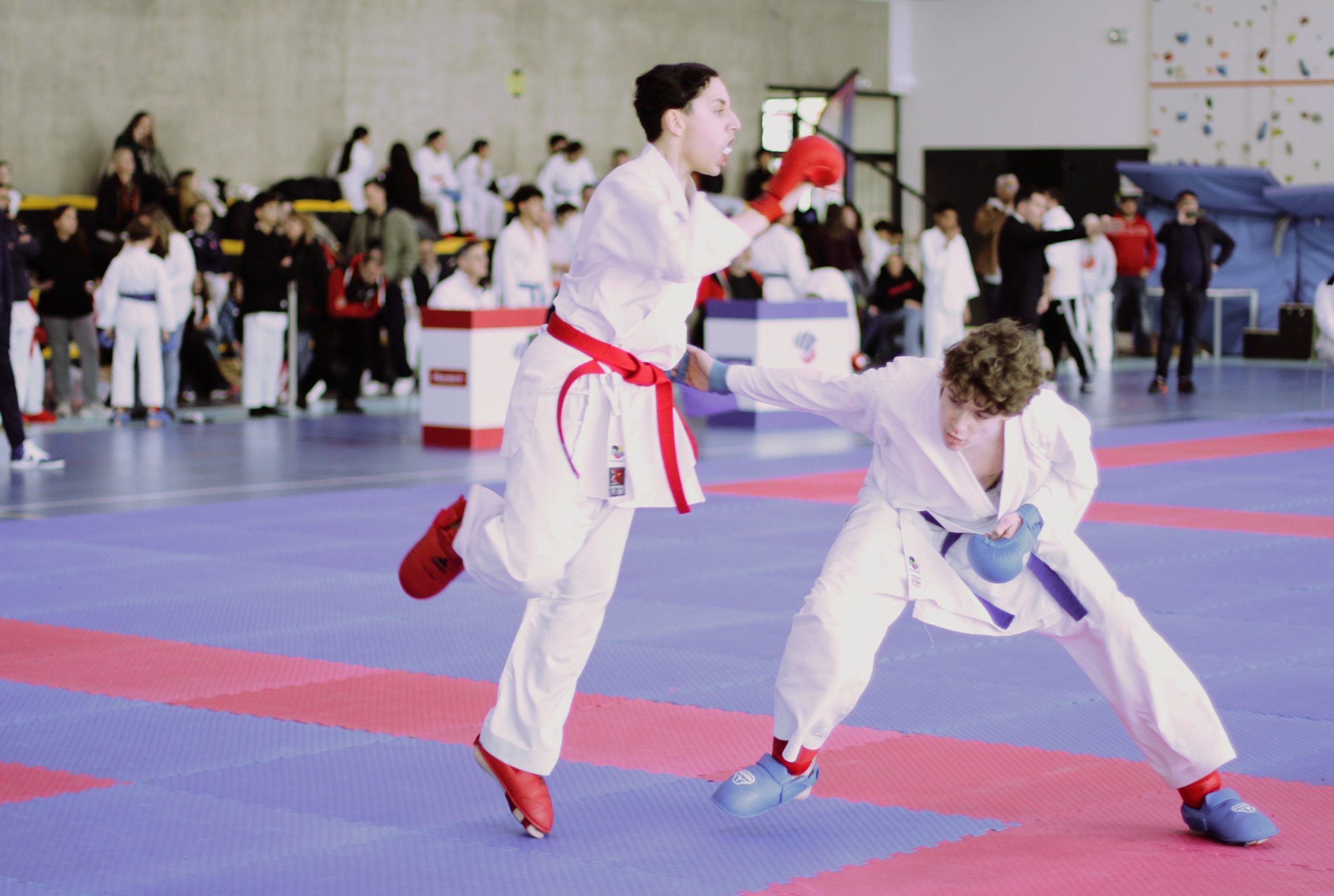 ab kumité 31 11 2025