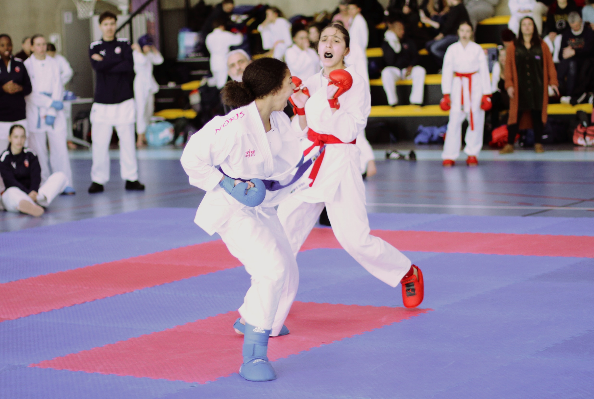 ab kumité 31 11 2025