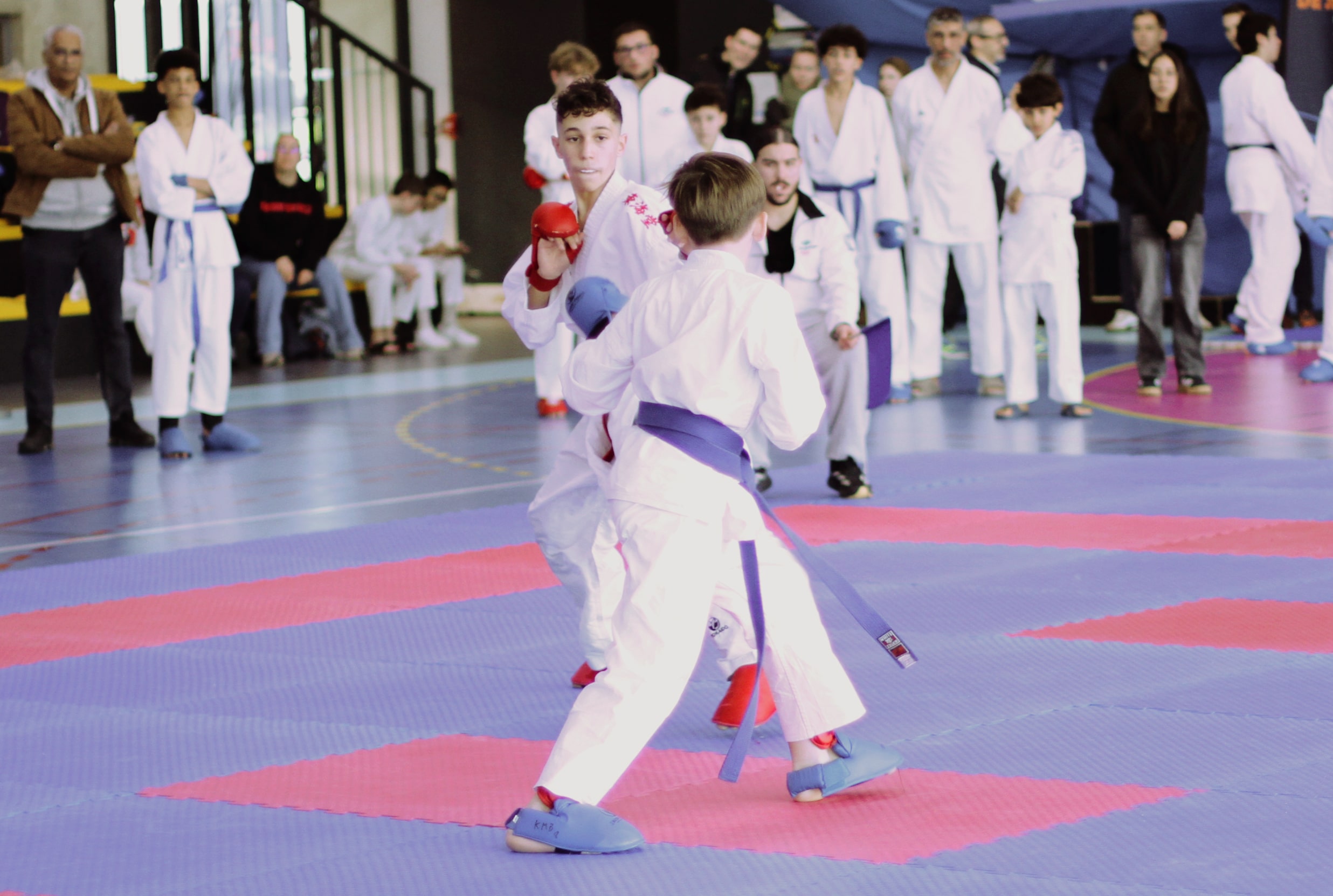 ab kumité 31 11 2025