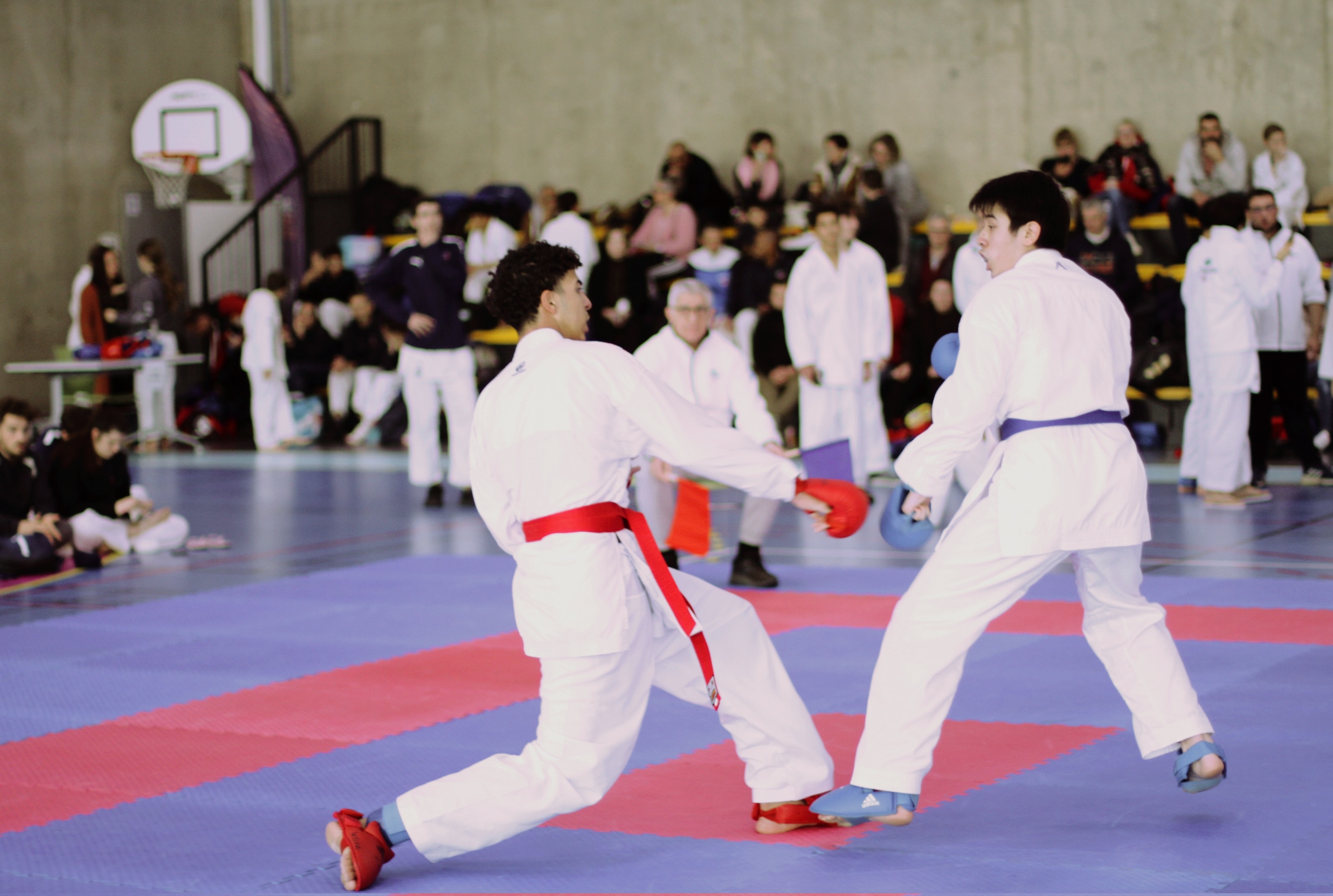 ab kumité 31 11 2025