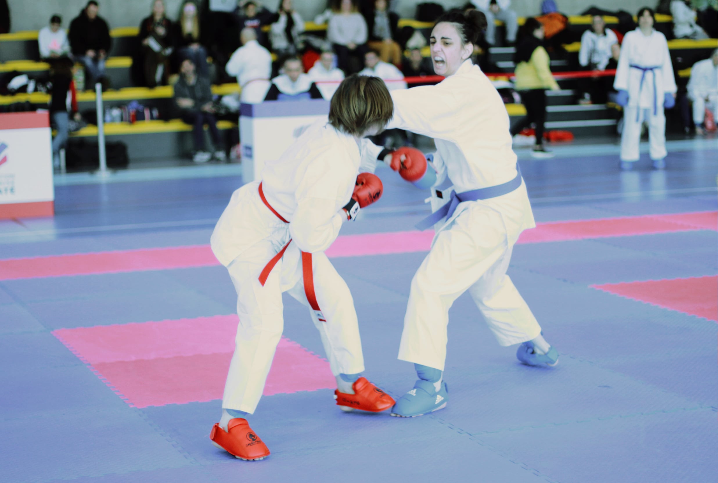 ab kumité 31 11 2025