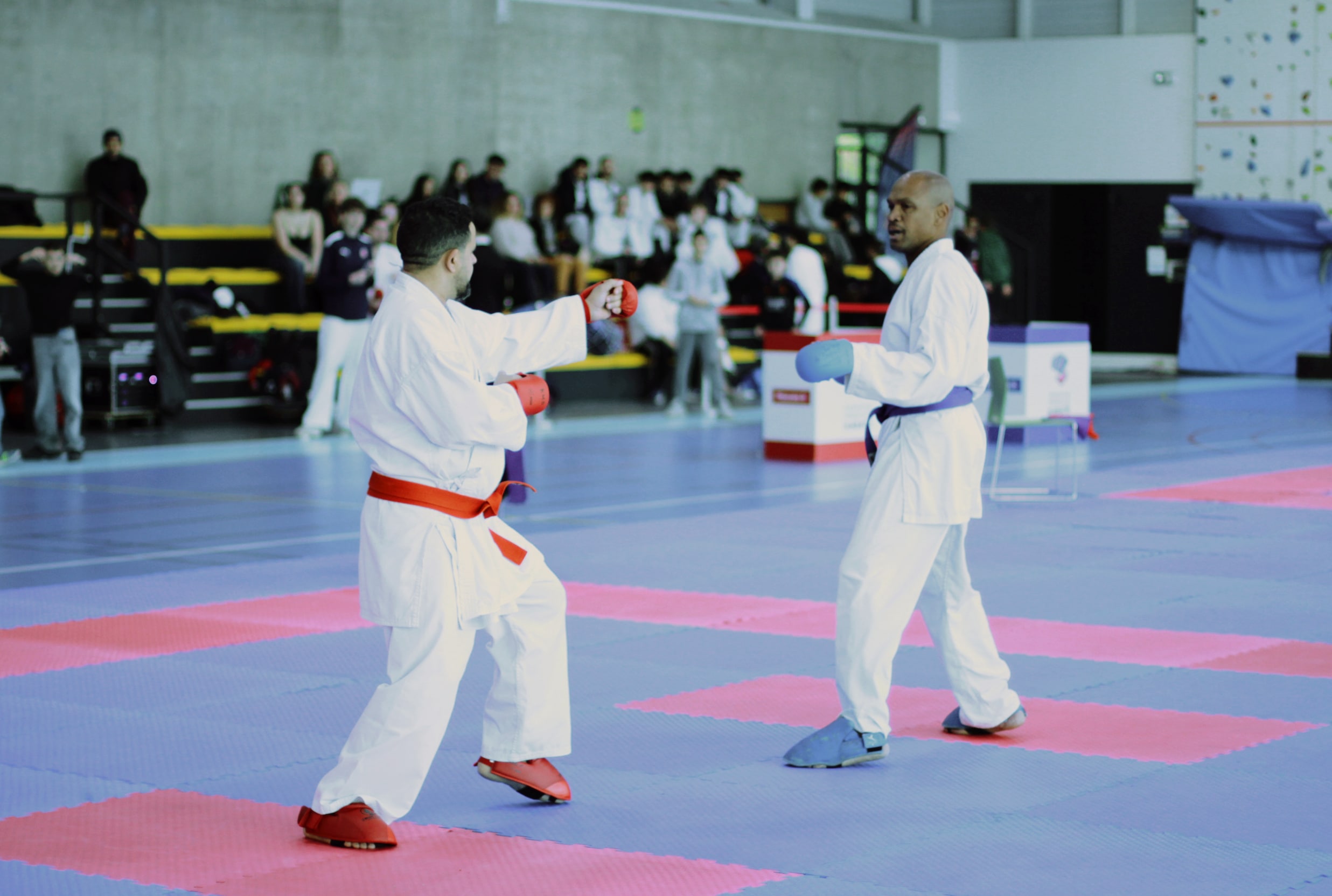 ab kumité 31 11 2025