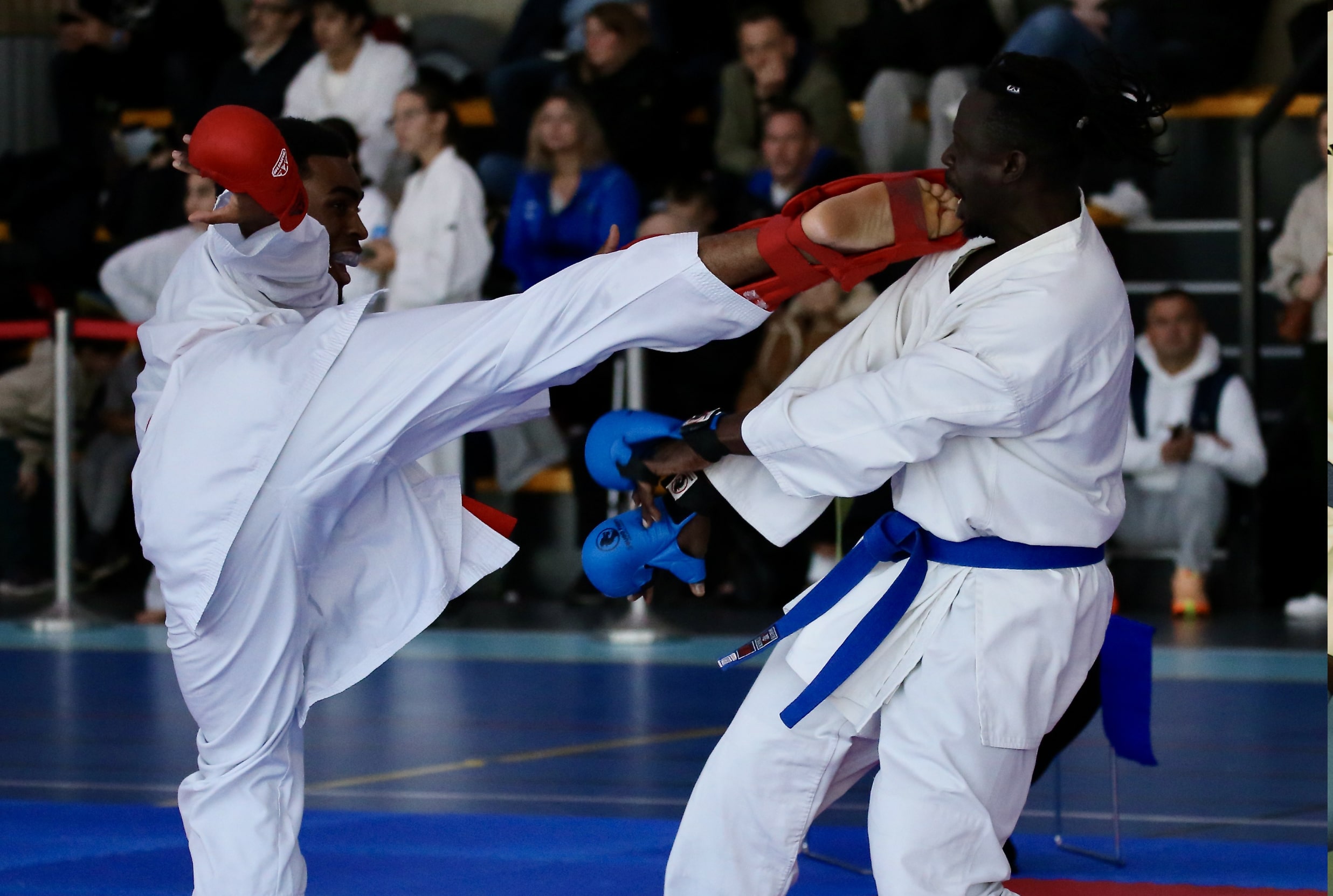 ab kumité 31 11 2025