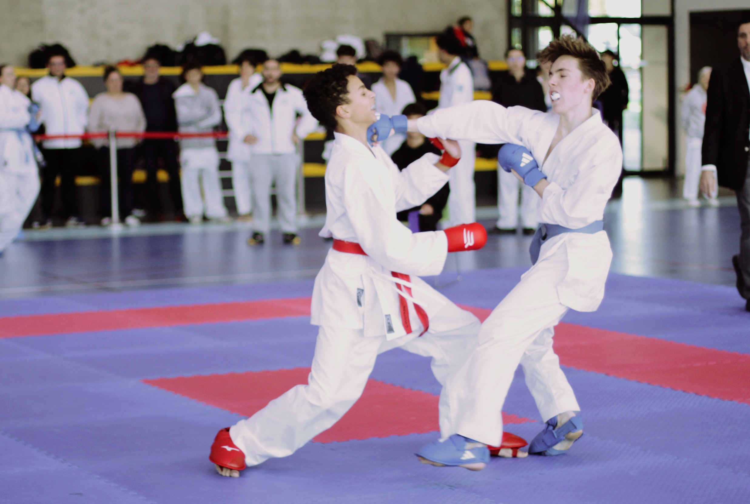 ab kumité 31 11 2025