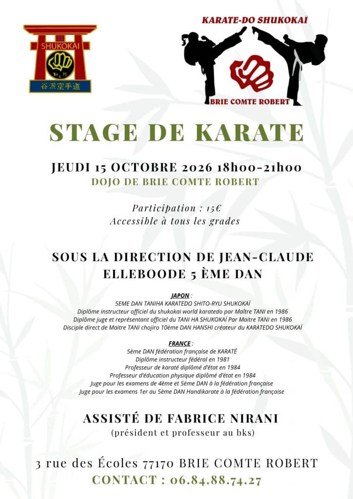 Affiche du stage de karaté du 15 octobre 2026 à Brie-Comte-Robert