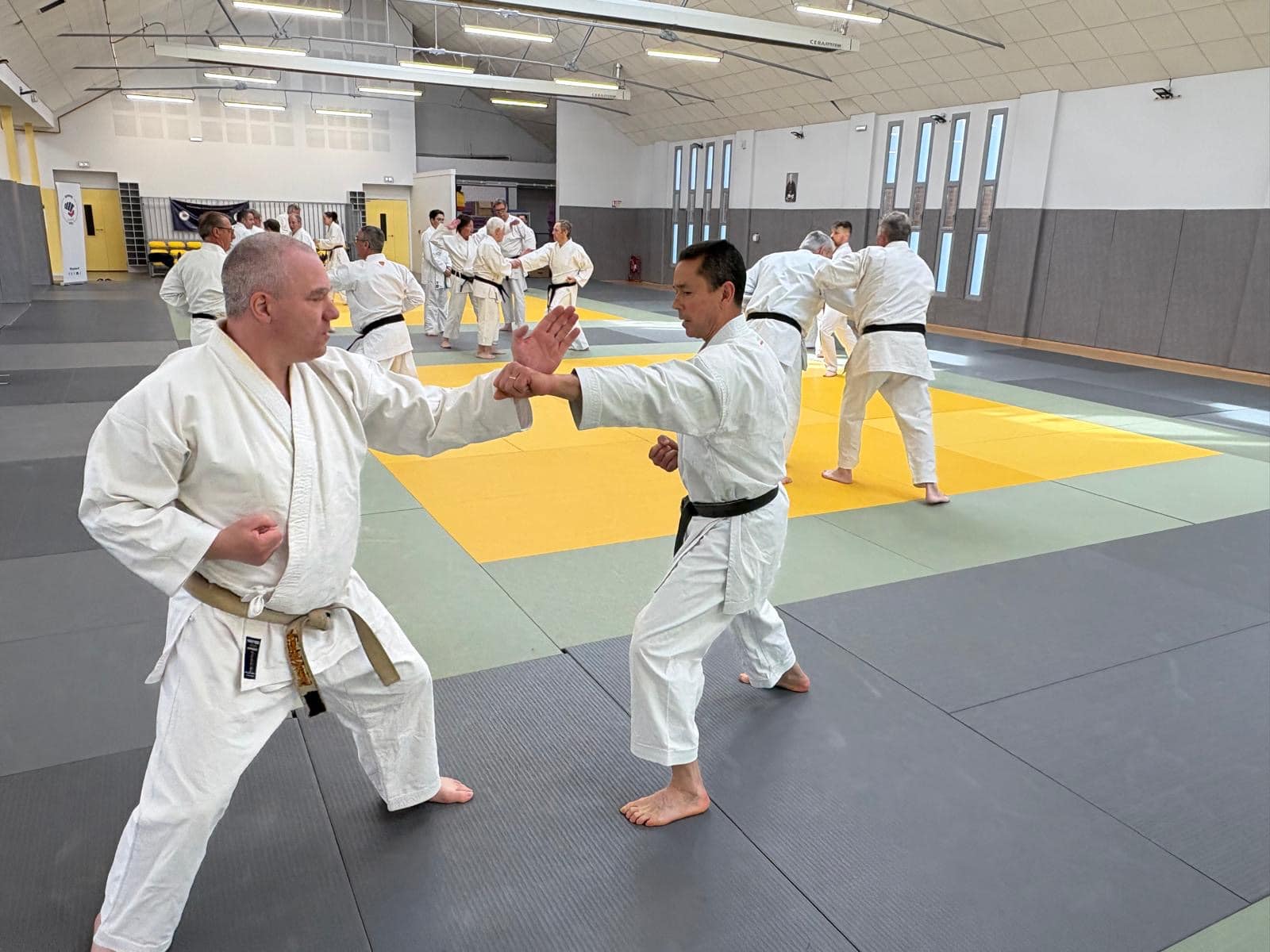 572c9905-0e6a-4ad0-b588-1e3cf440597c