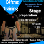 stage training défense février 2019