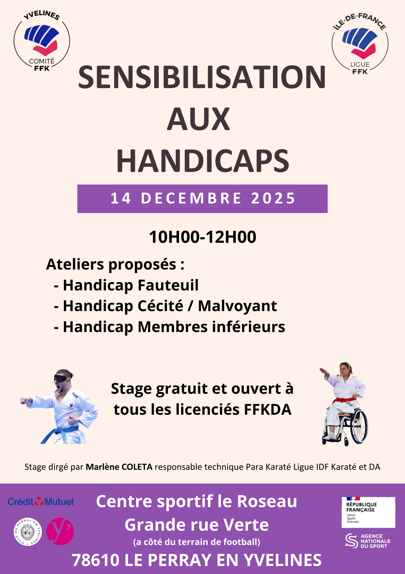 Handed Caps STAGE CDK78 SENSIBILISATION AUX HANDICAPS - Comité Départemental des ...